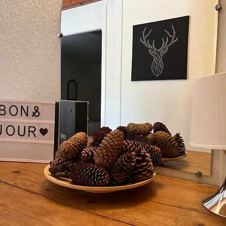 Renove T3 Proche Pistes, 8-10 Pers Apartment *